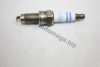 VW 101905606A Spark Plug